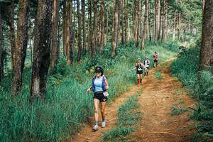 BIB: 
                            <button type="button" onclick="openModal(25748926)" class="btn btn-primary btn-sm float-right btn-popup" data-toggle="modal" data-target=".modal-high-quality">
                        <i class="fas fa-shopping-cart"></i> Add to Cart
                    </button>
                                            <button type="button" onclick="isThisMe(25748926, true)" class="btn btn-success btn-sm float-right btn-popup btn-isme hidden" data-toggle="tooltip" data-placement="bottom" title="นี่คือรูปของคุณใช่ไหม คลิกที่นี่เพื่อเอาเข้าอัลบั้ม">
                        <i class="fas fa-plus"></i> Add to album
                    </button>
                    <button type="button" onclick="isThisMe(25748926, false)" class="btn btn-warning btn-sm float-right btn-popup btn-isnotme hidden">
                        <i class="fas fa-ban"></i> Remove from album
                    </button>